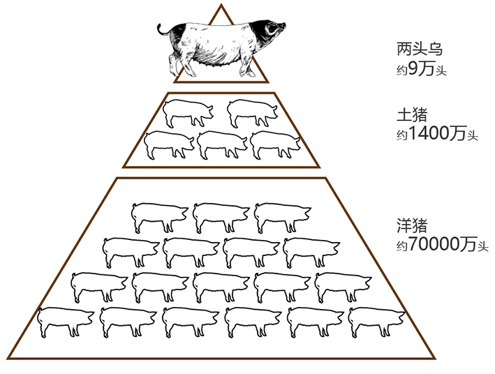 兩頭烏推文_畫板 1 副本 2.jpg